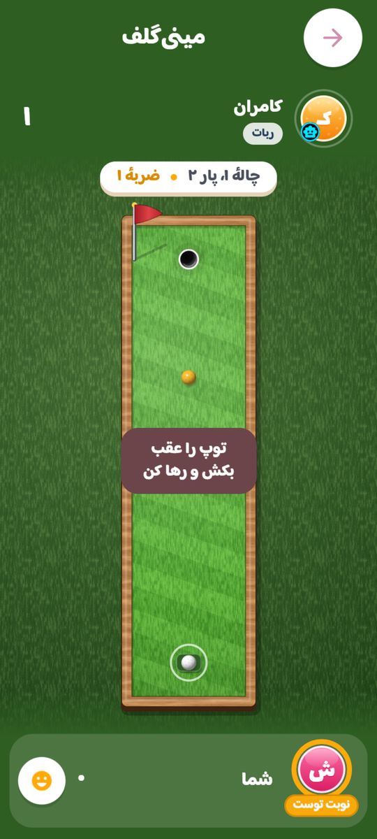 تصویر بازی مینیگلف در همدور